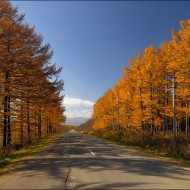 Дорога в осень