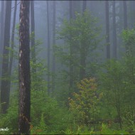 Тайна горы Плоская