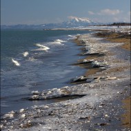 Весна в заливе Мордвинова