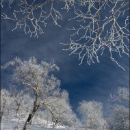 Мороз и солнце