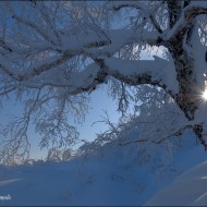 Зима на Мицульском хребте