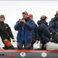 Смотрим на последнего кита