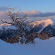 Вид на гору Пушкинскую