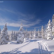 _dsc9070_20170224_045278