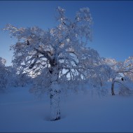 Теневая сторона