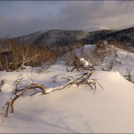 У горы Российская