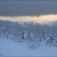 Вечер на Красной