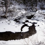 Река Комиссаровка