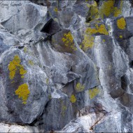_dsc7924_20160813_044175