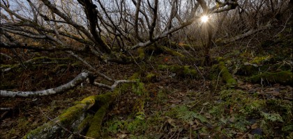 Майорский хребет и каскад Клитина