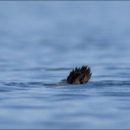 _DSC2722_20130520_019615