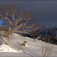 На горе Красная