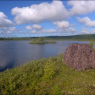 Засидка для съемки гагар