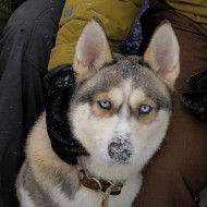 dsc5010