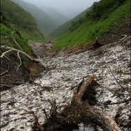 Чамгинский снежник